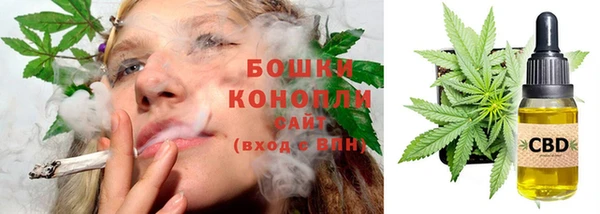 бошки Новодвинск