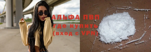 крисы Новокубанск
