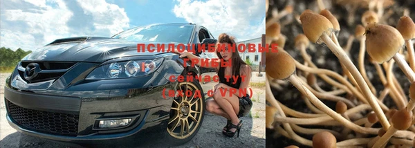 кокс Куровское