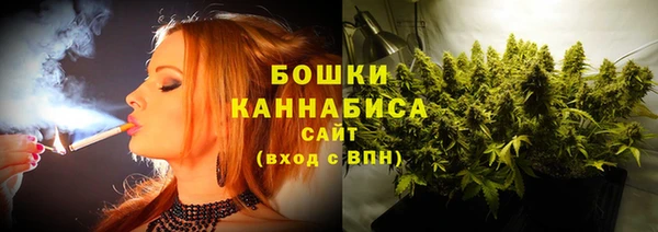 бошки Новодвинск