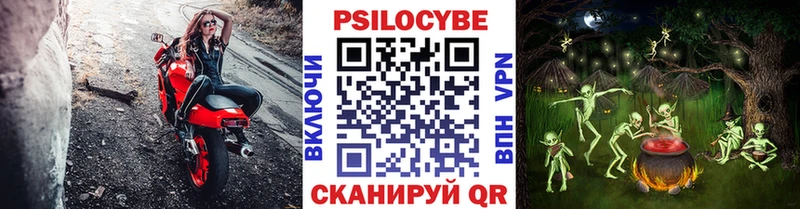 Псилоцибиновые грибы мицелий  купить   Облучье 